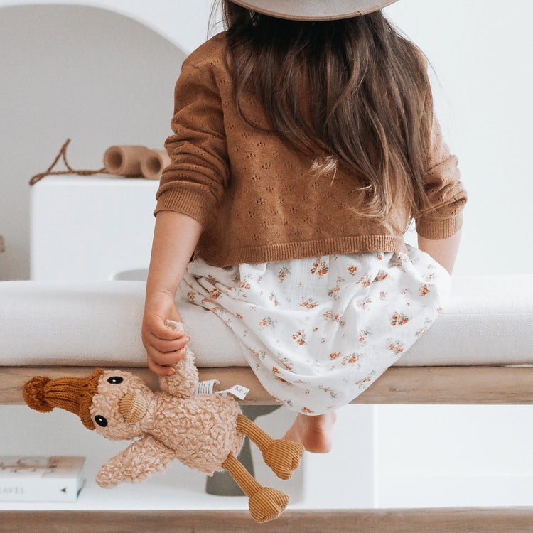 and the little dog laughed