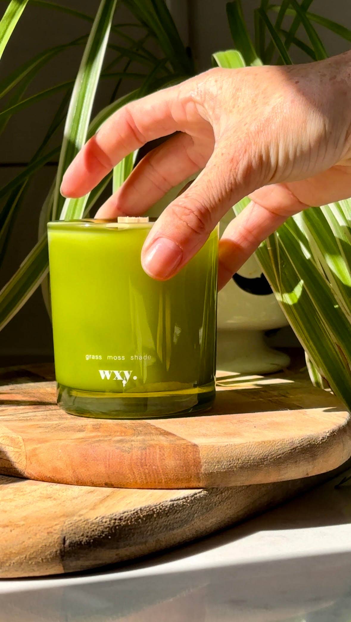 wxy. - Roam mini. - 5.2oz candle - grass. moss. shade.