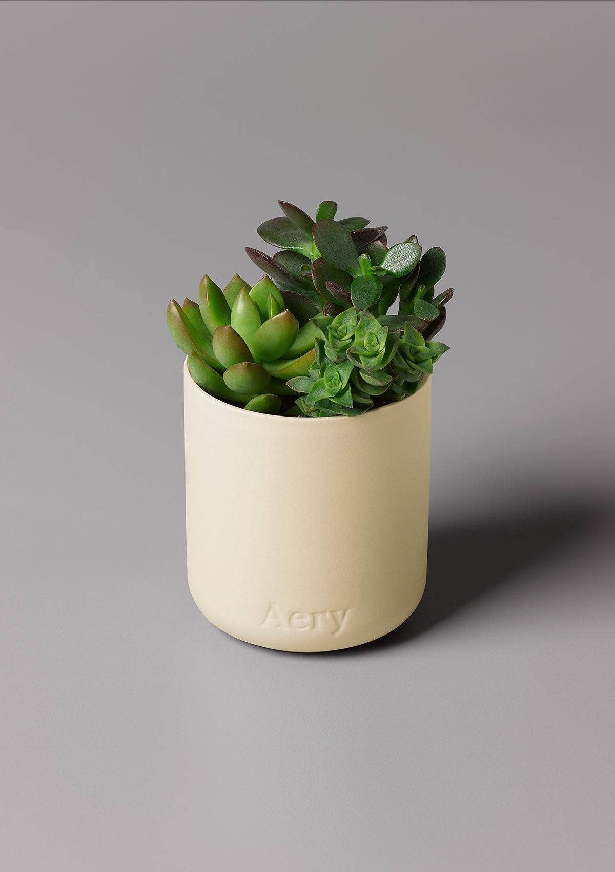 Aery Living - Himalayan Cedarleaf Scented Candle