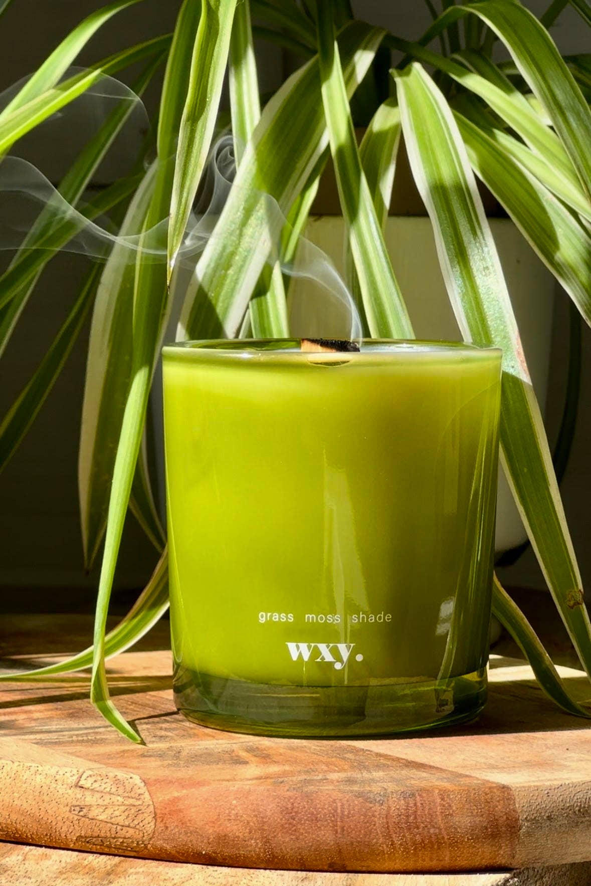 wxy. - Roam mini. - 5.2oz candle - grass. moss. shade.