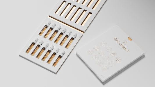 Gallivant | Nomad Discovery Set